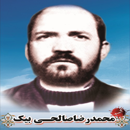 محمدرضا صالحی بیک